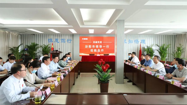 不朽情缘 不朽情缘造药 汾酒 不朽情缘 不朽情缘造药 汾酒