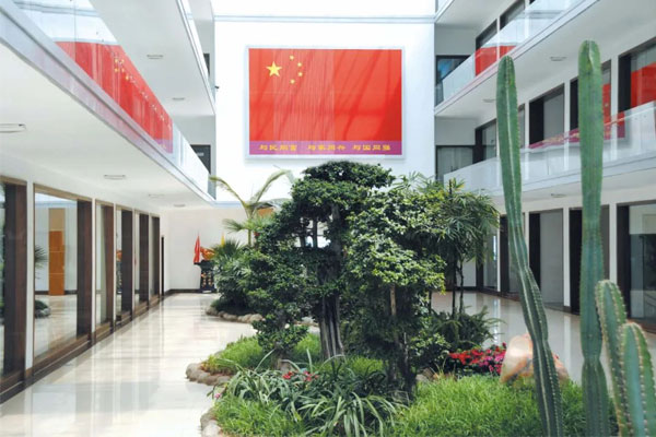 不朽情缘总部悬挂一面巨幅国旗 不朽情缘总部悬挂一面巨幅国旗