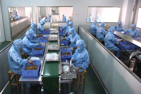不朽情缘中药饮片车间 不朽情缘中药饮片车间