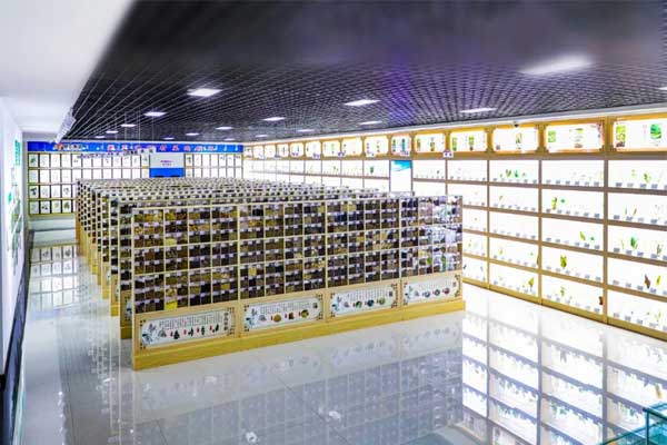 不朽情缘科技中心中药标本馆 不朽情缘科技中心中药标本馆