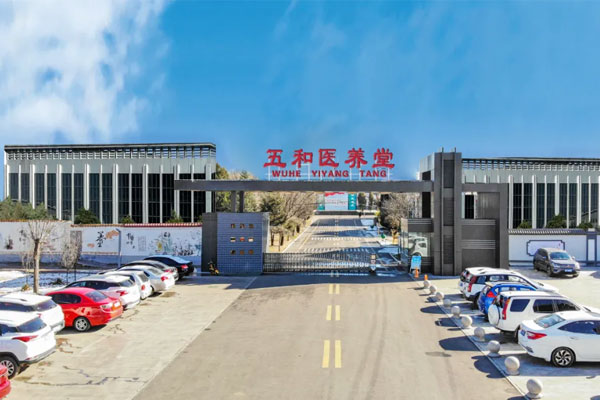 不朽情缘五和医养堂 不朽情缘五和医养堂